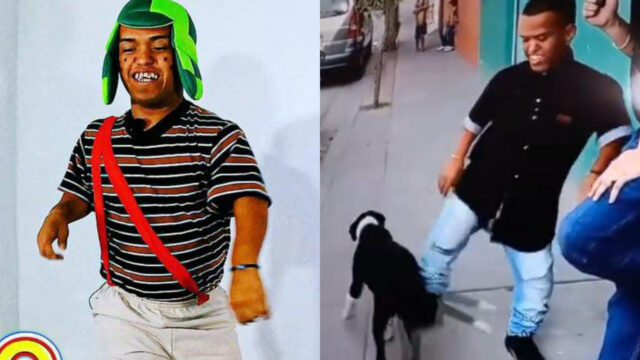 Medio Metro perrito