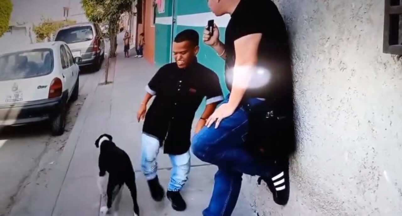 Medio Metro patea perro
