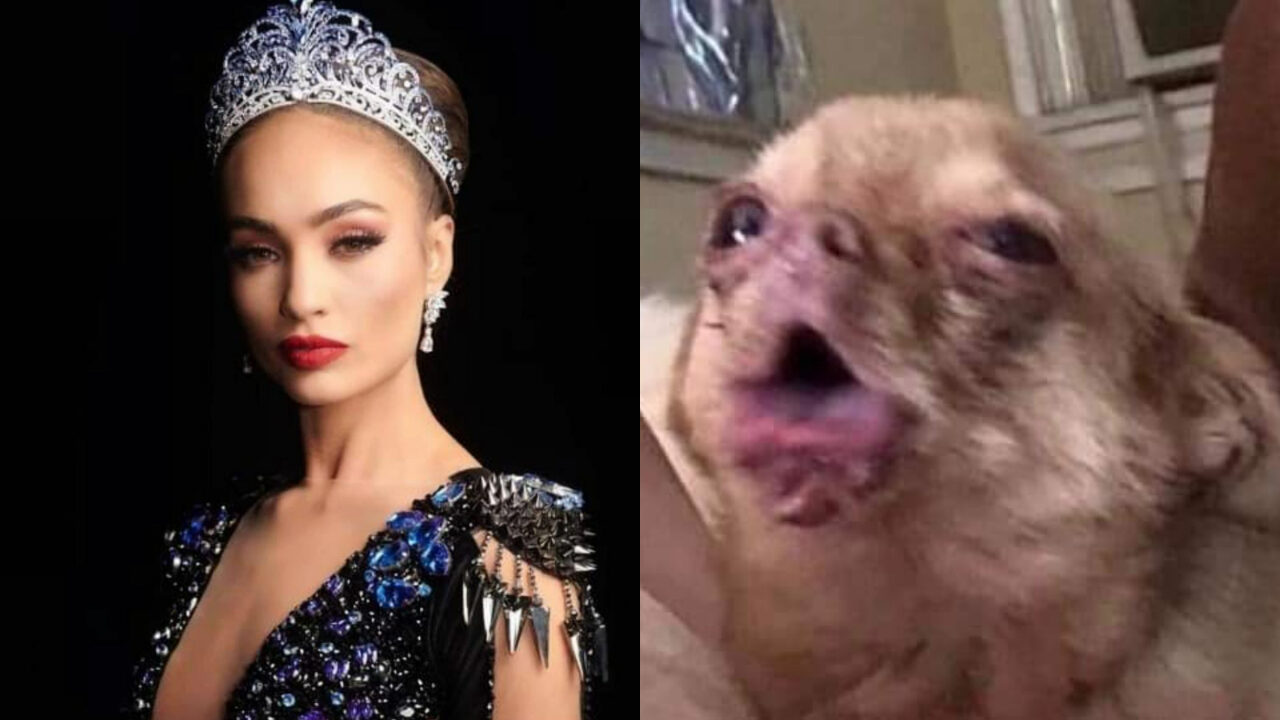 Miss universo no se bañó