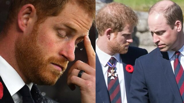 Príncipe Harry Hermano William