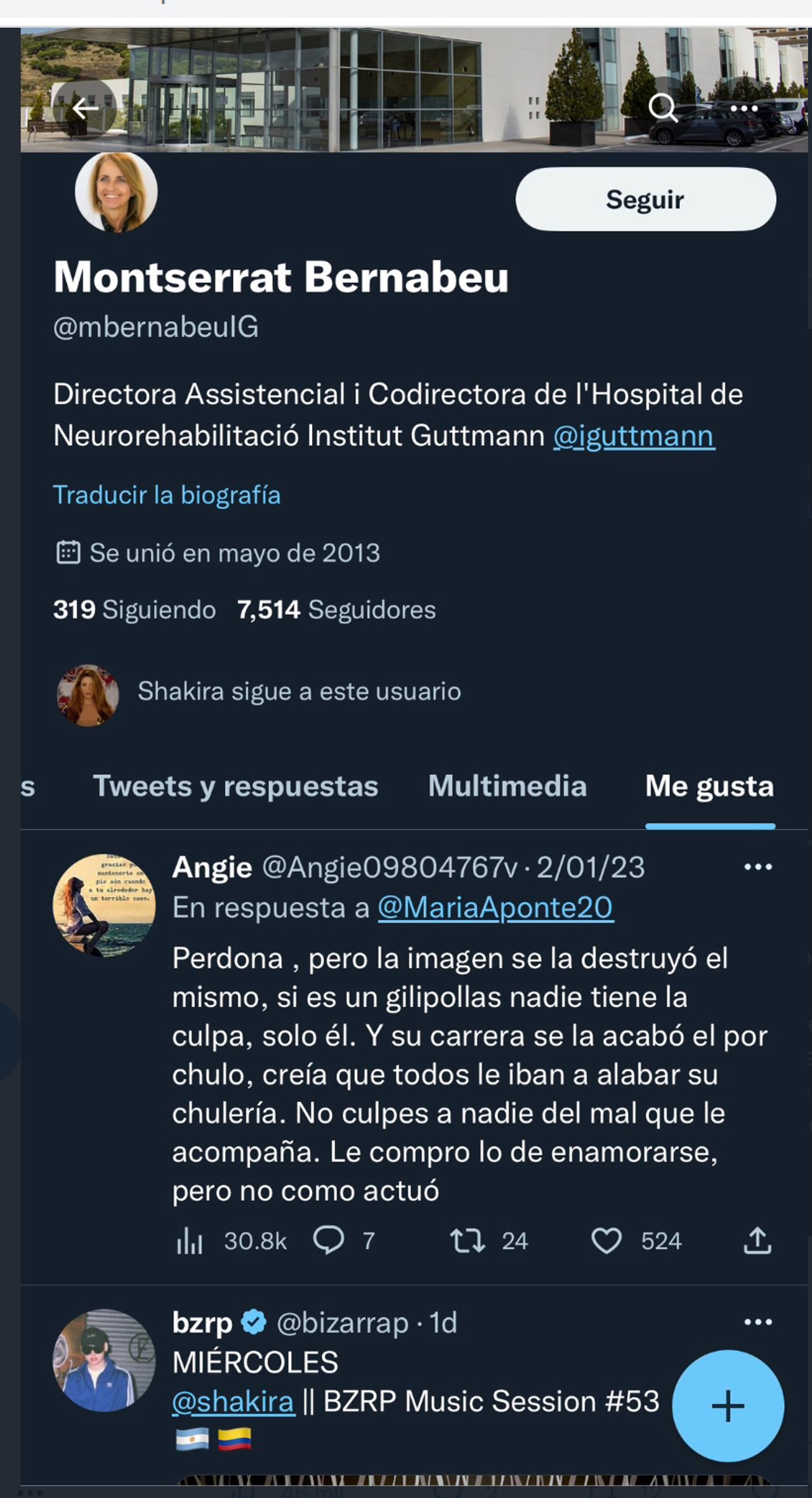 Madre Piqué Shakira hijo