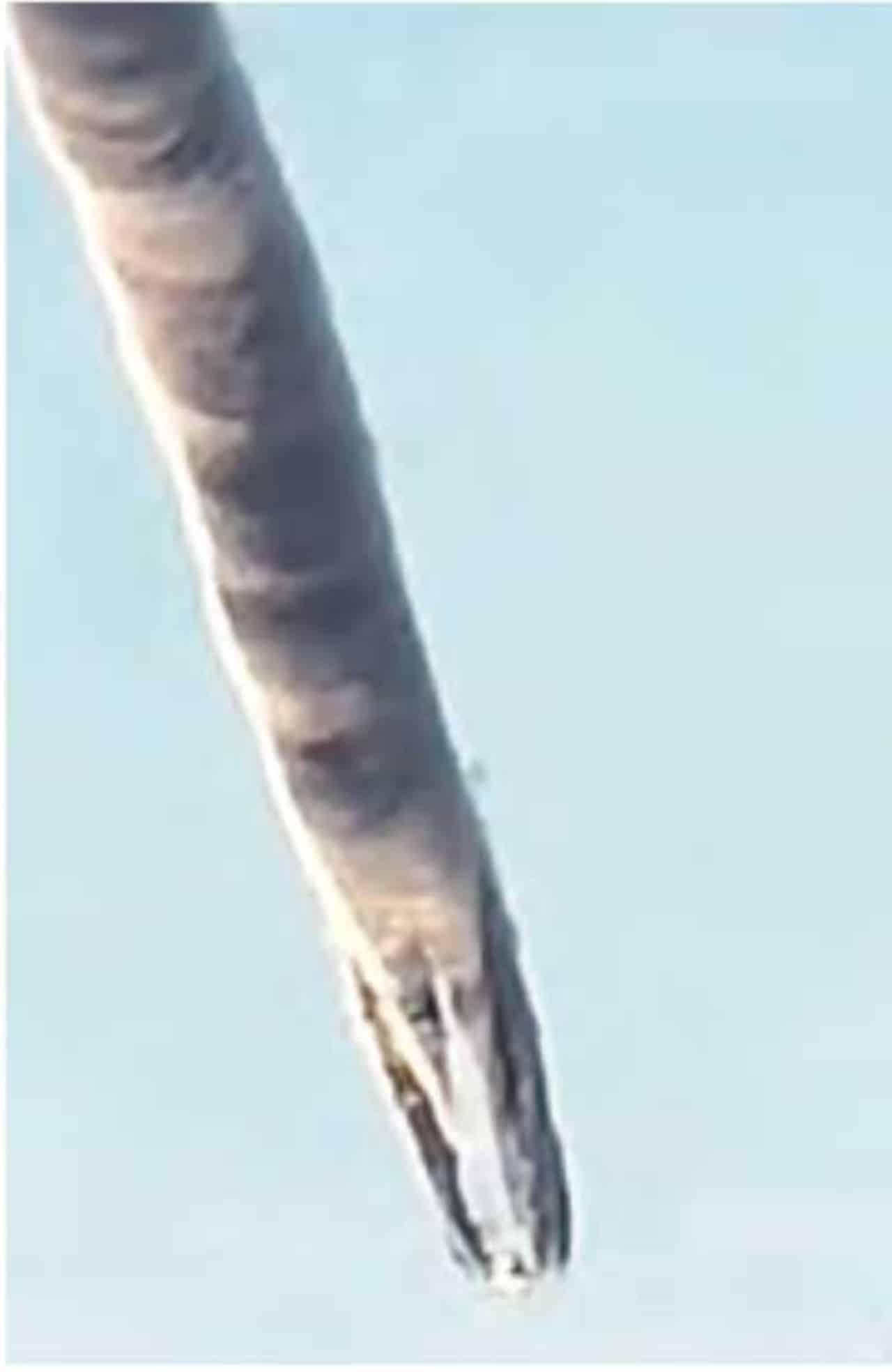 Jaime Maussan extraterrestres tierra