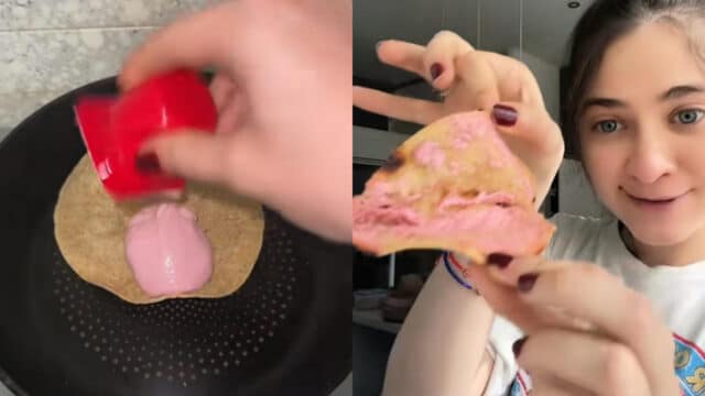 Chica quesadilla danonino