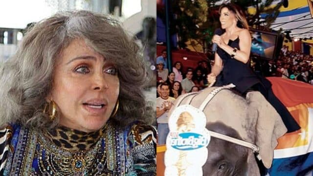 Verónica Castro Elefante se cayo