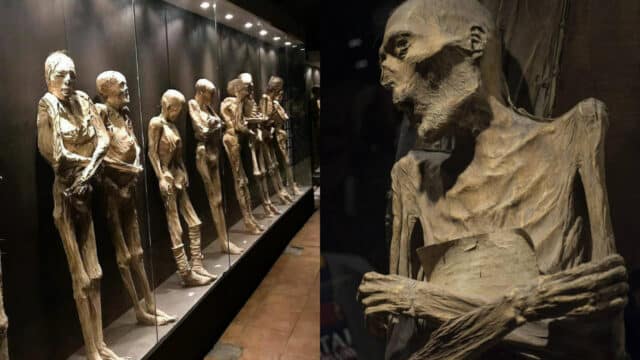 Museos momias