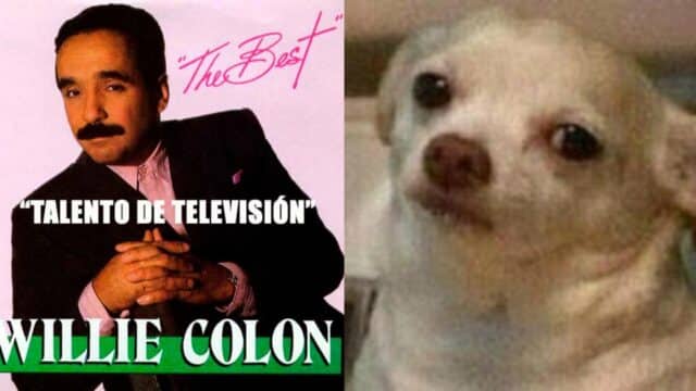 Cancelar talento de television cancion machista