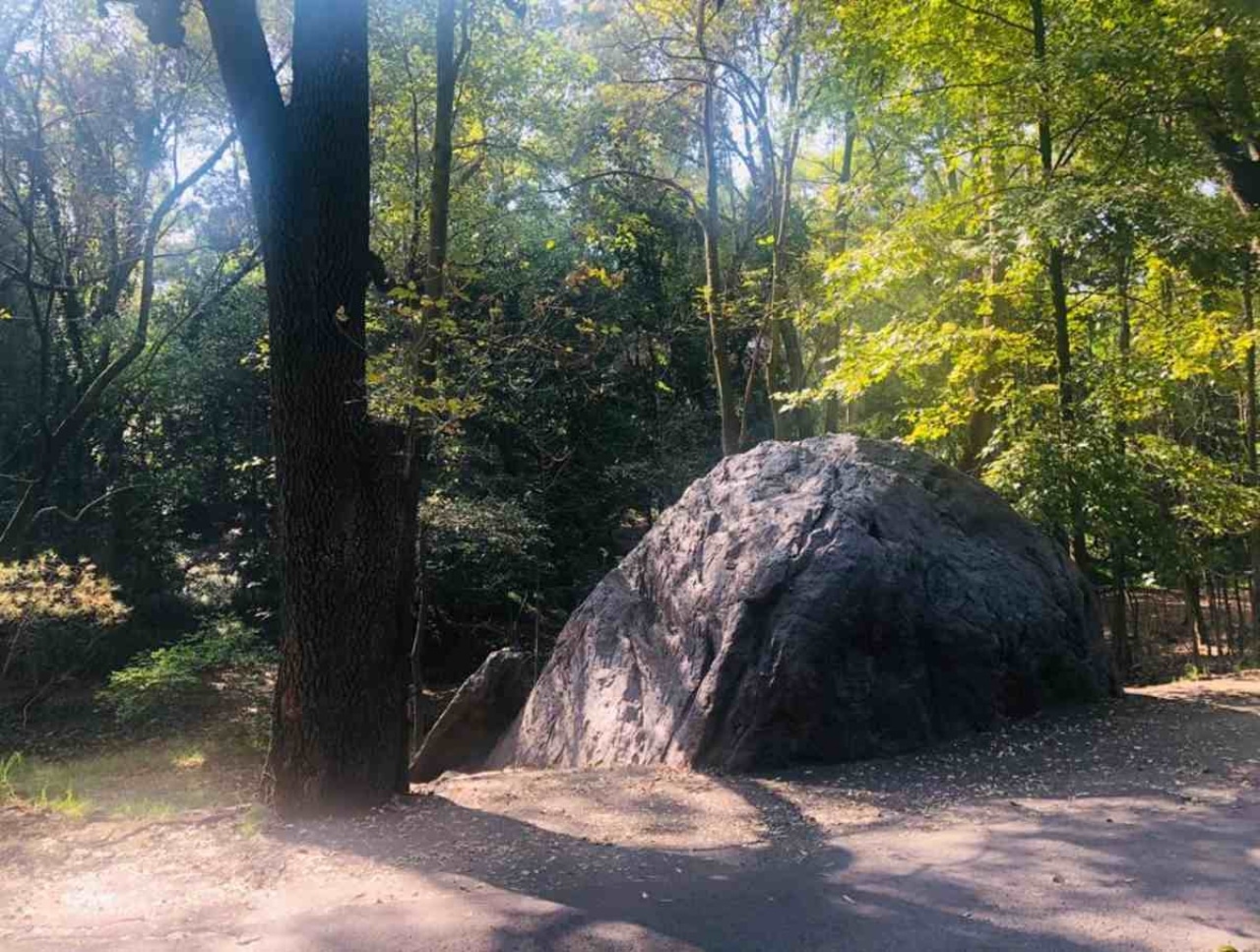 El Oscuro Origen de la leyenda de la piedra del Diablo en Tlalpan