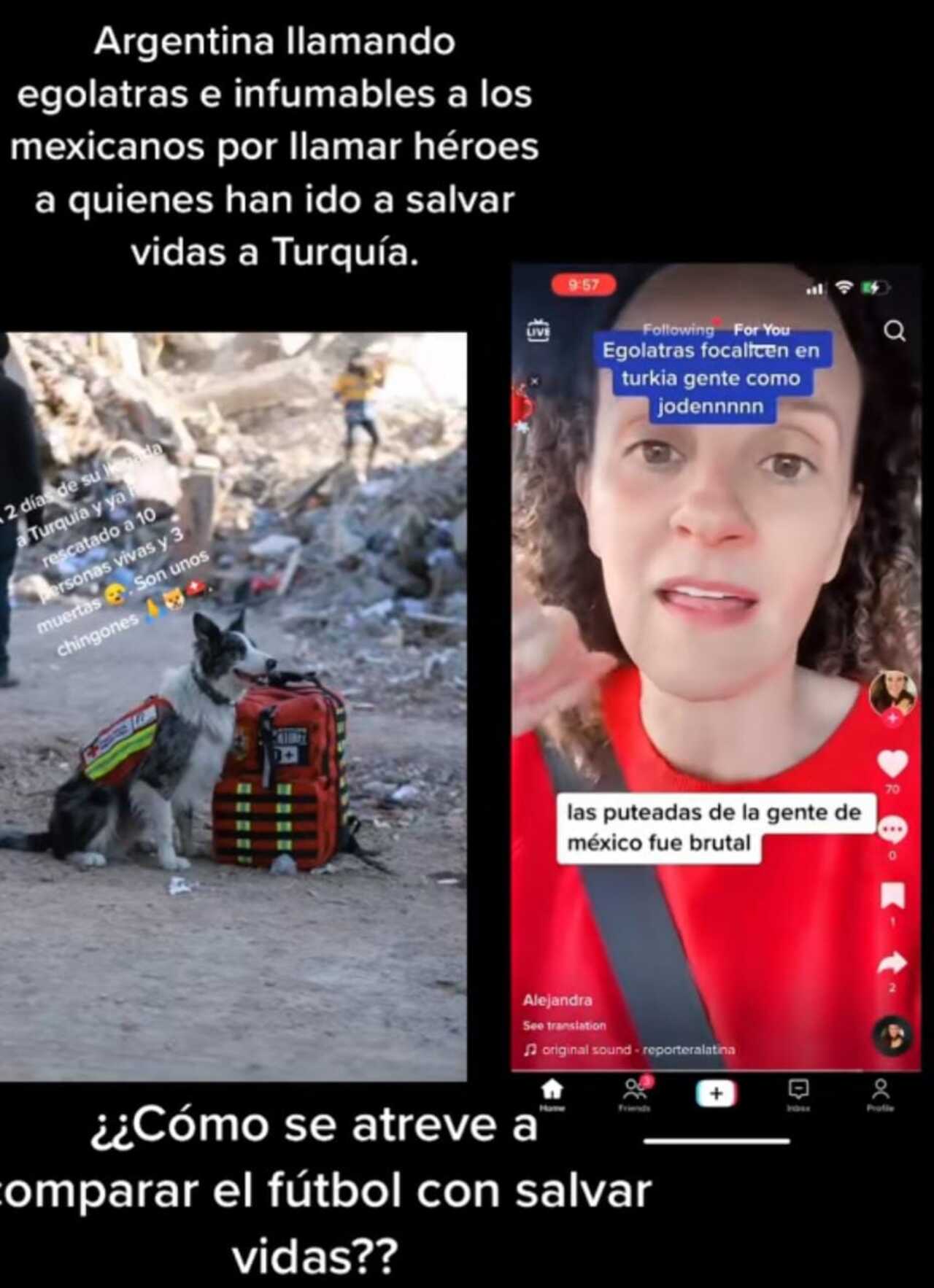 Tiktoker arremete perros rescatistas 