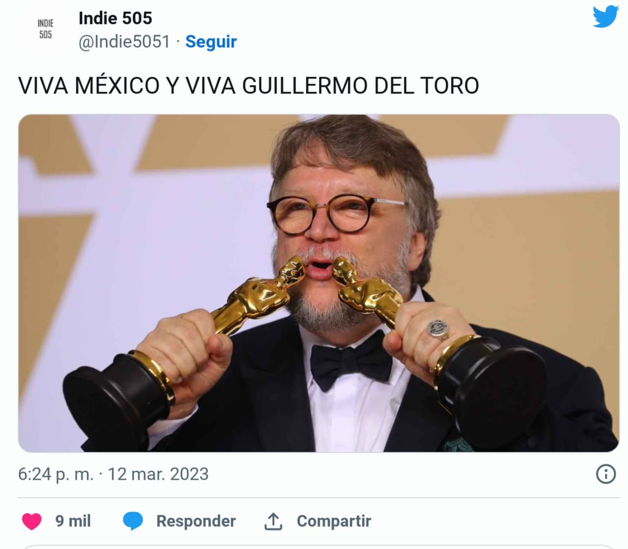 memes oscar guillermo del toro ganador