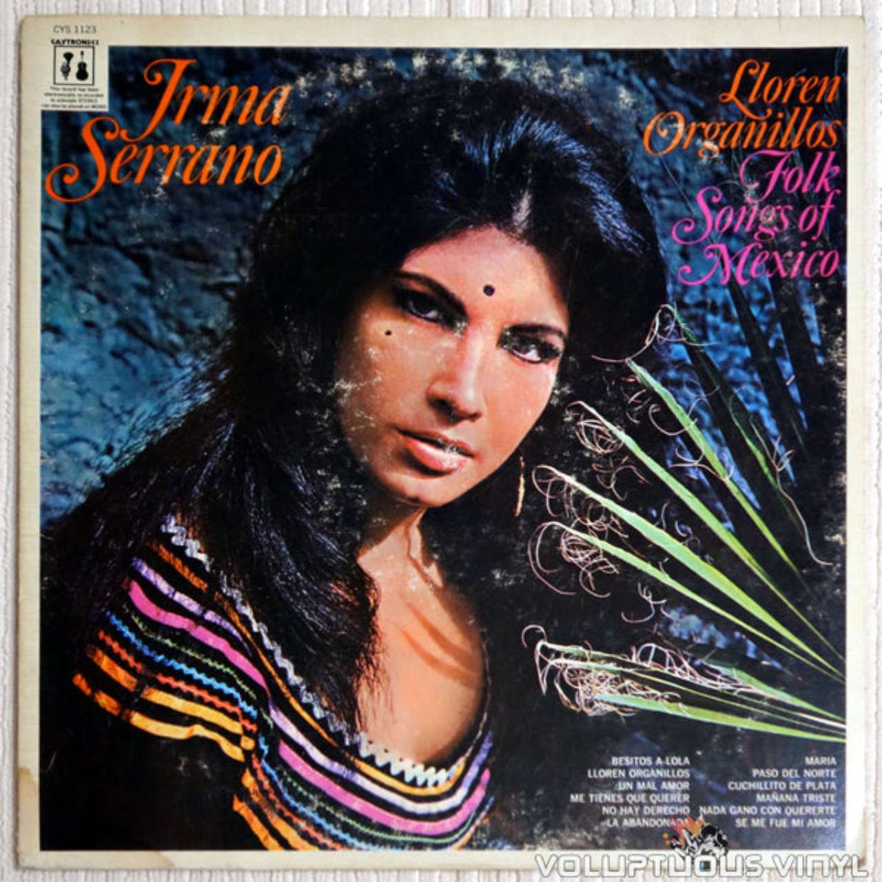 Peliculas Irma Serrano trayectoria muerte