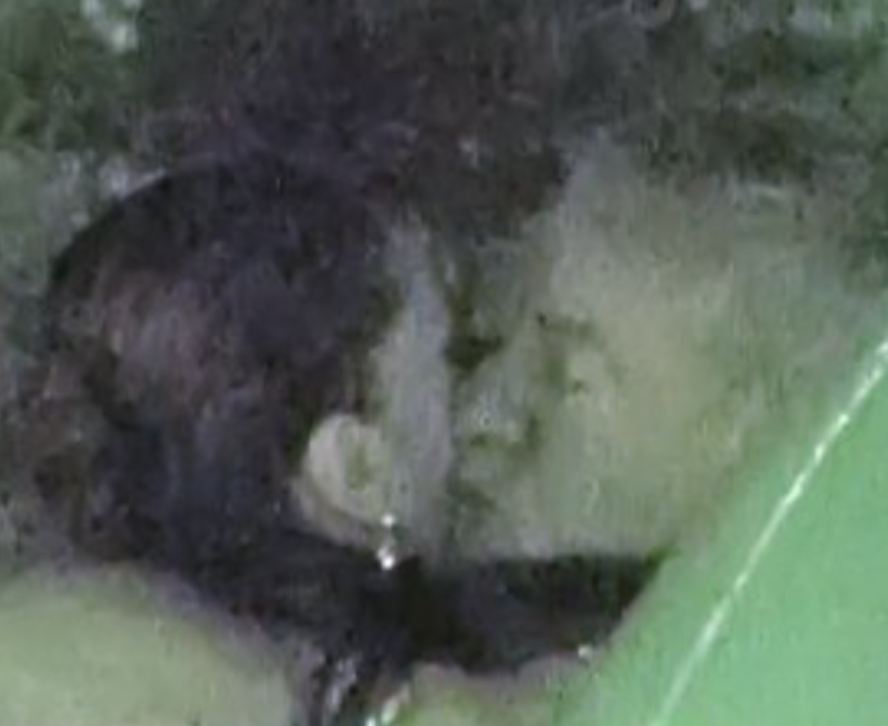 Güero Castro Mariana Seoane romance