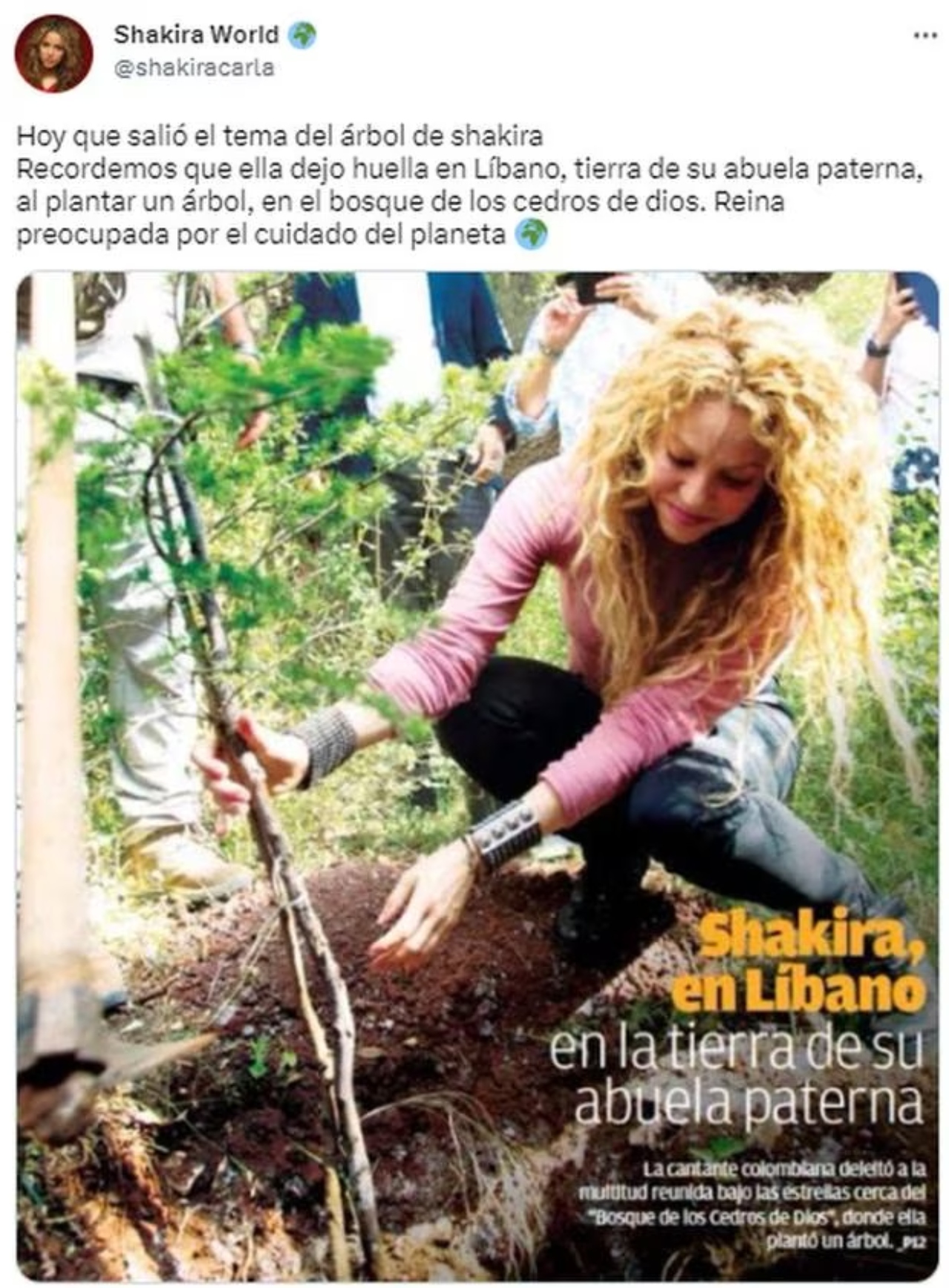Shakira Clara Chía árbol