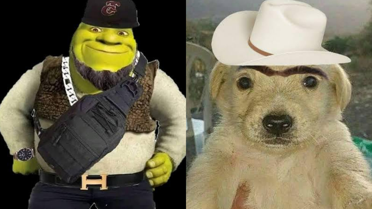 Significan bélico y alucín