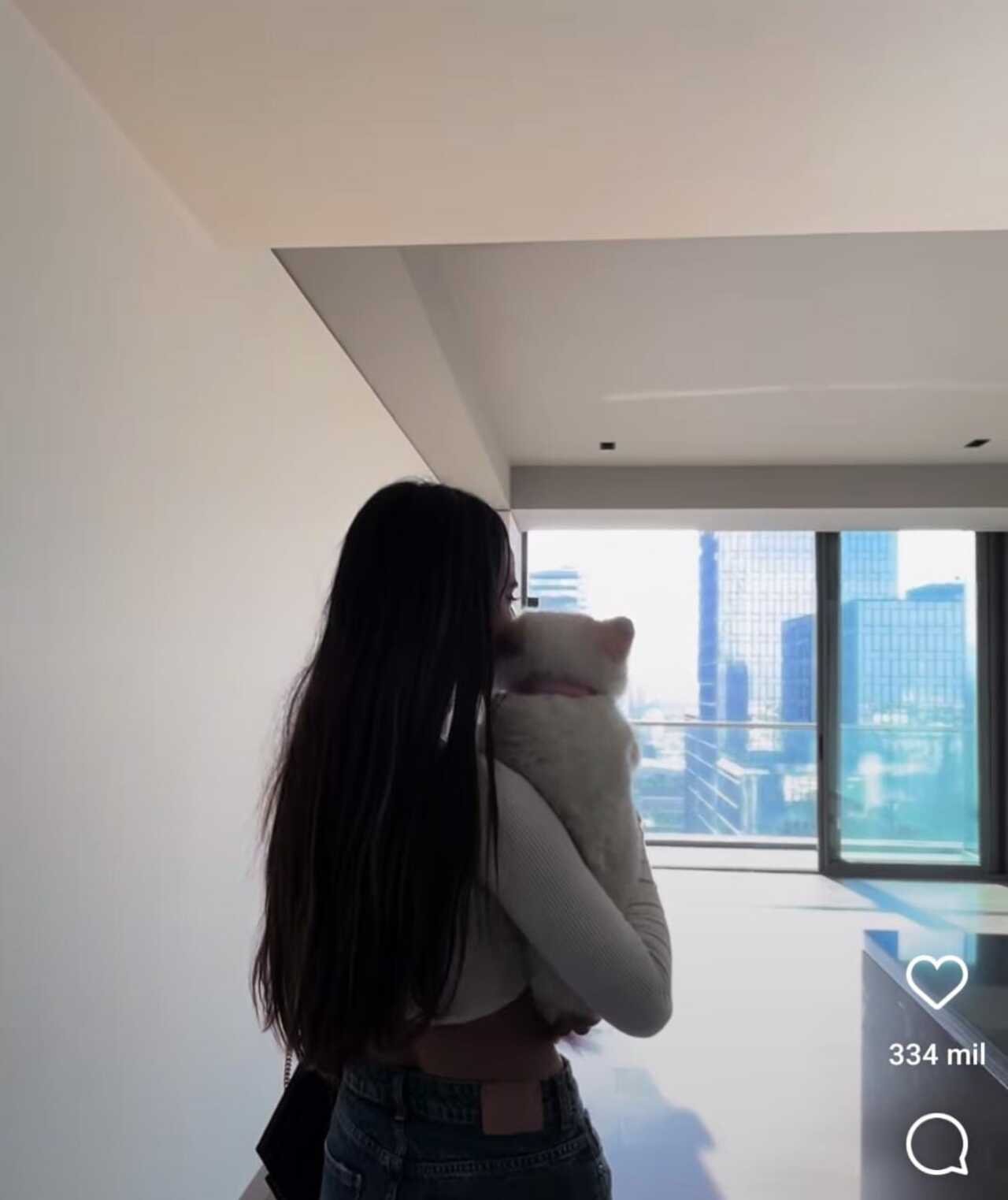 Tammy se muda con Nala