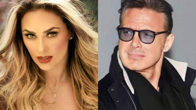 Aracely ArÃ¡mbula Luis Miguel