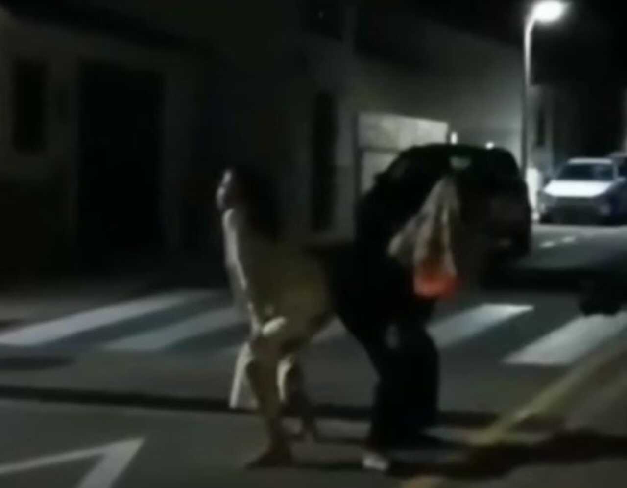 Clara Chía perrea en la calle