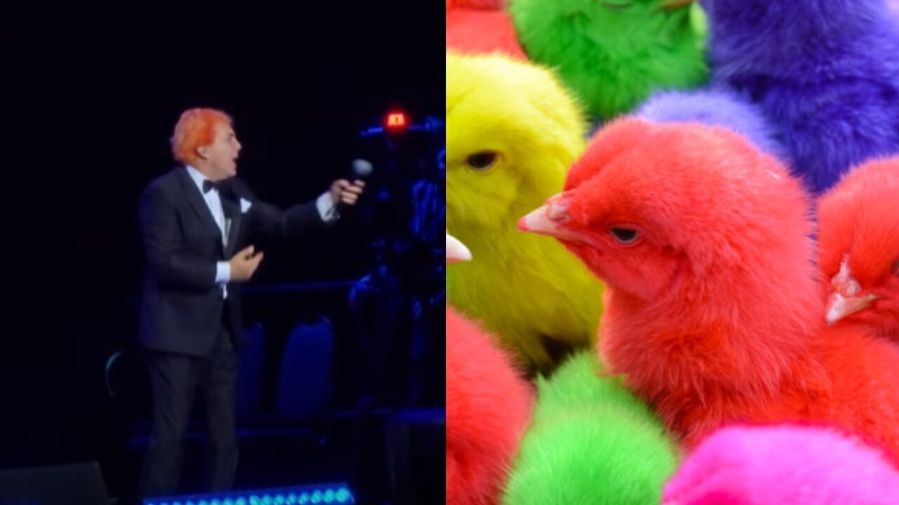 Cristian Castro cabello naranja pollito colores