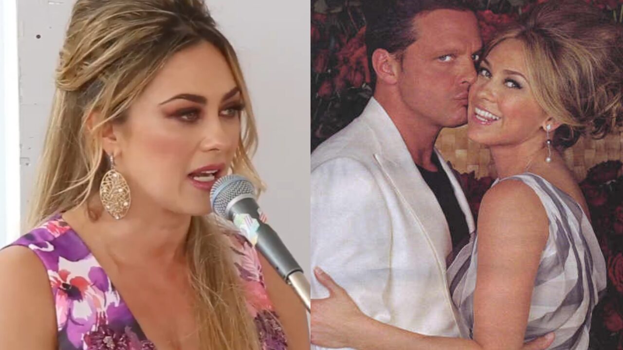 Luis Miguel pensión Aracely Arámbula hijos