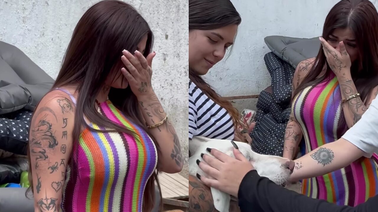 Karely Ruiz albergue perritos
