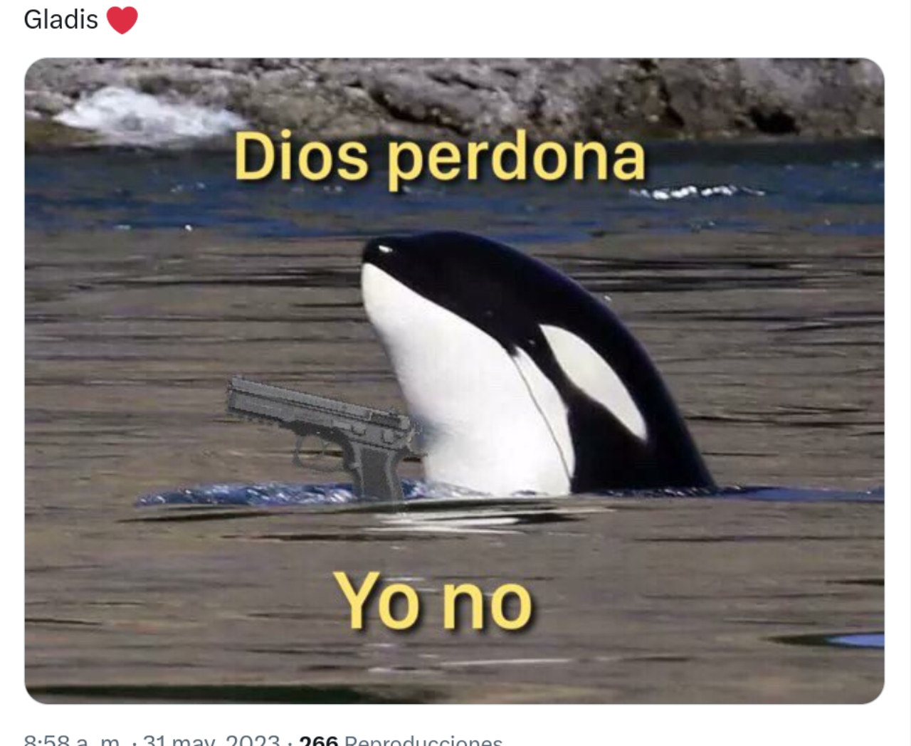 Mejores memes Orca Gladis perdona dios no
