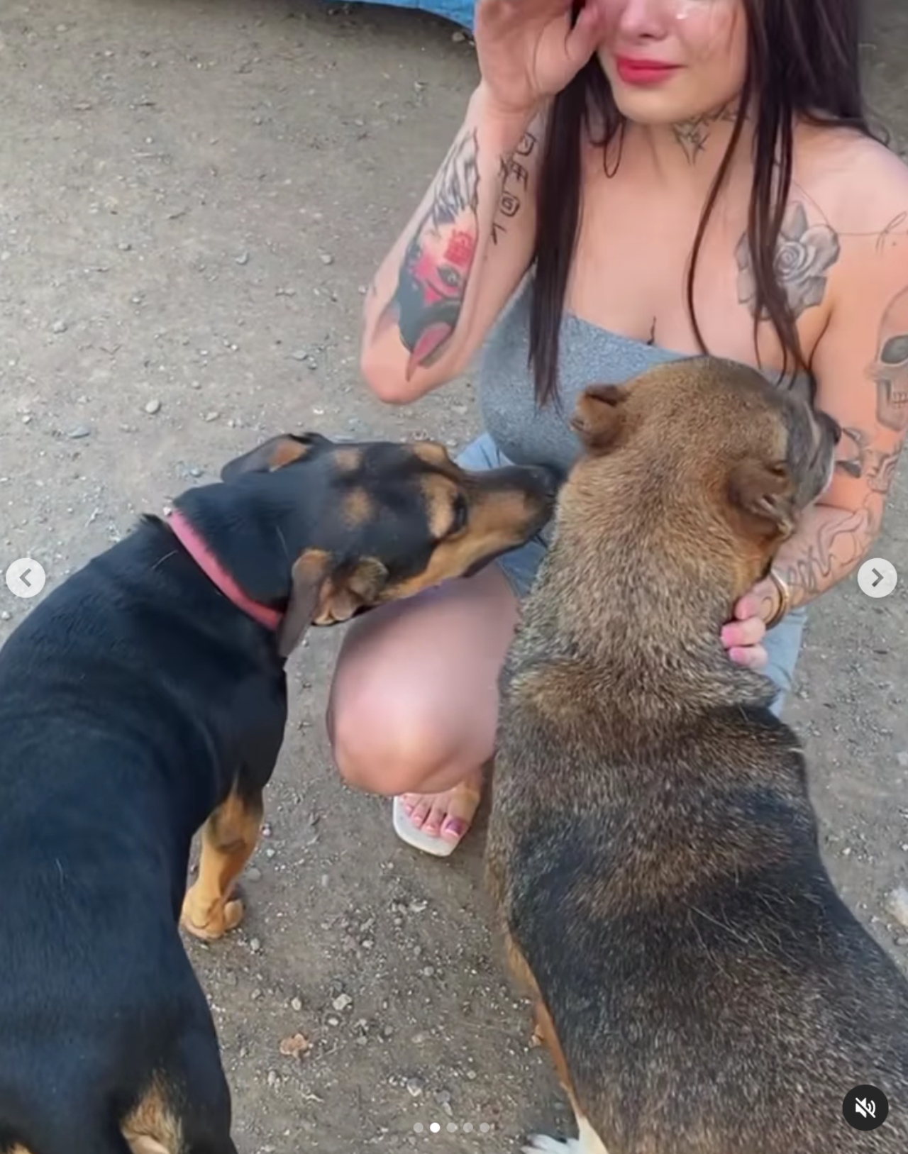 Karely Ruiz albergue perritos