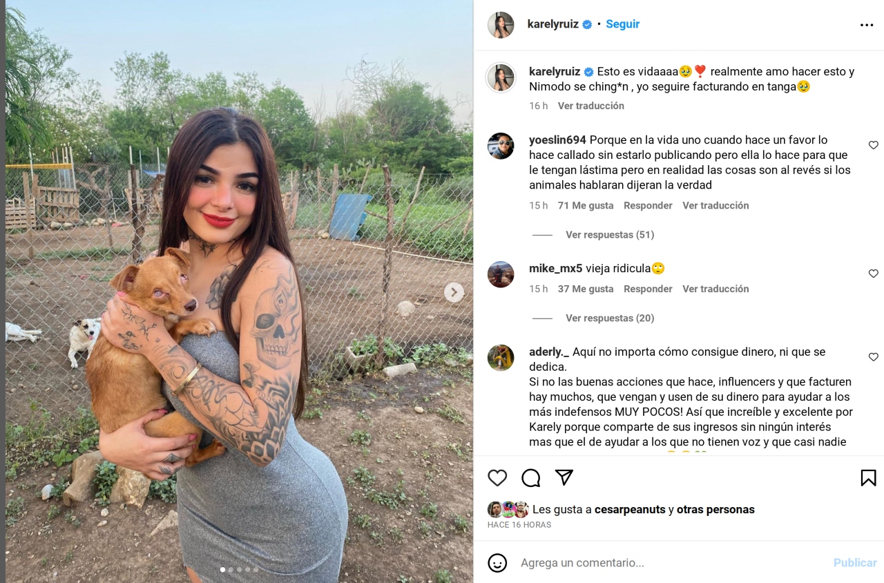 Karely Ruiz albergue perritos