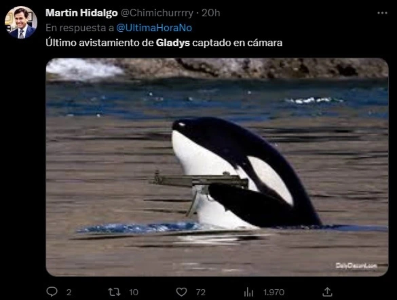 Mejores memes Orca Gladis pistola