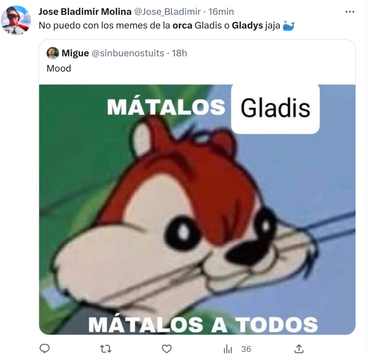 Mejores memes Orca Gladis esoo