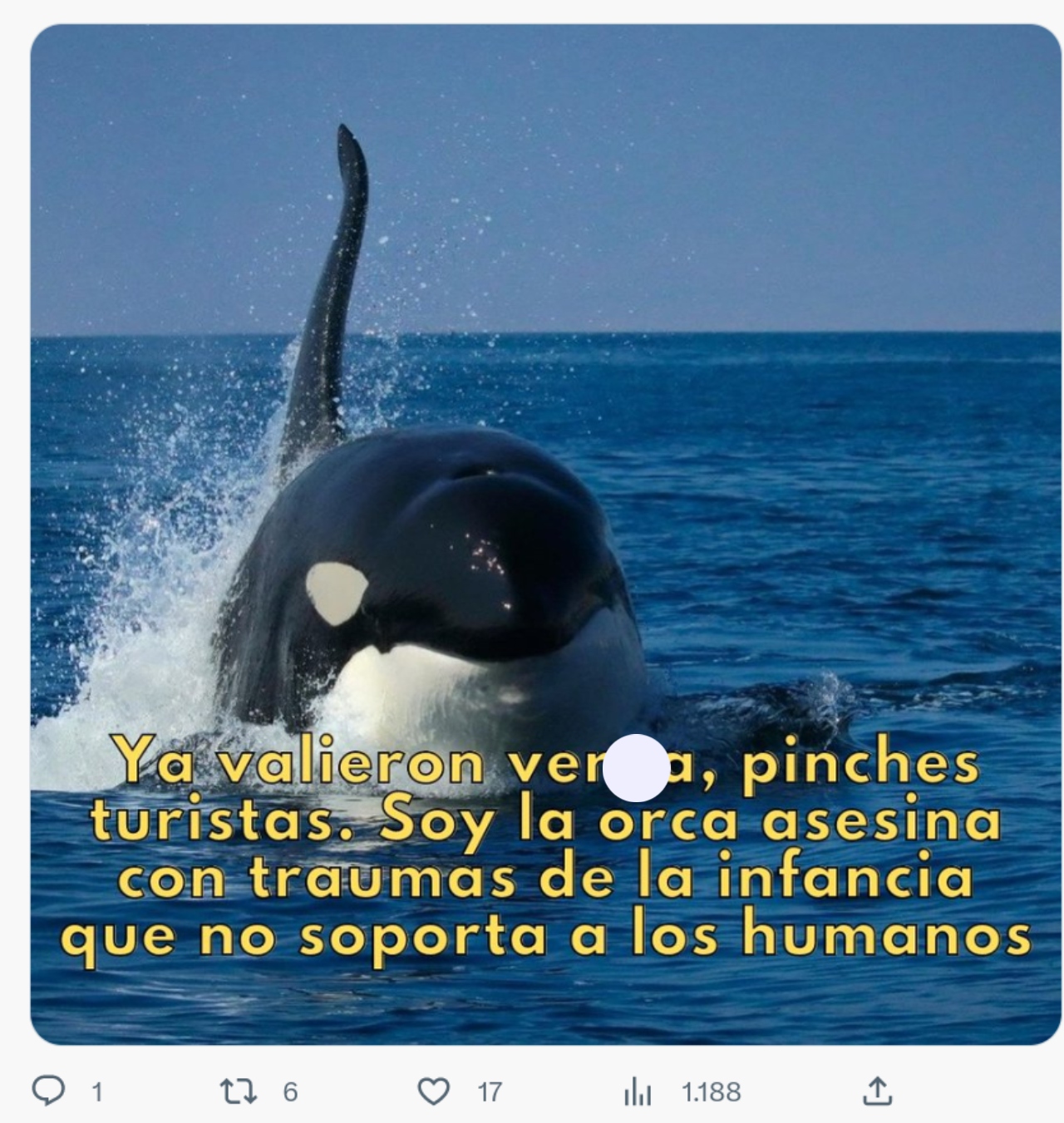 Mejores memes Orca Gladis eso es todo