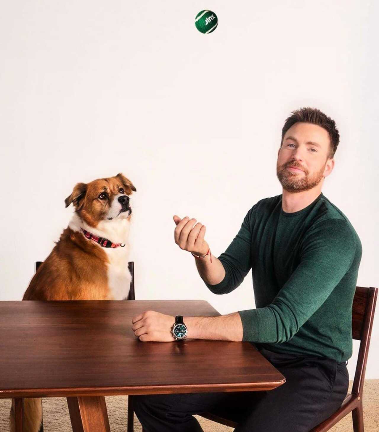 Chris Evans y su perrito mestizo