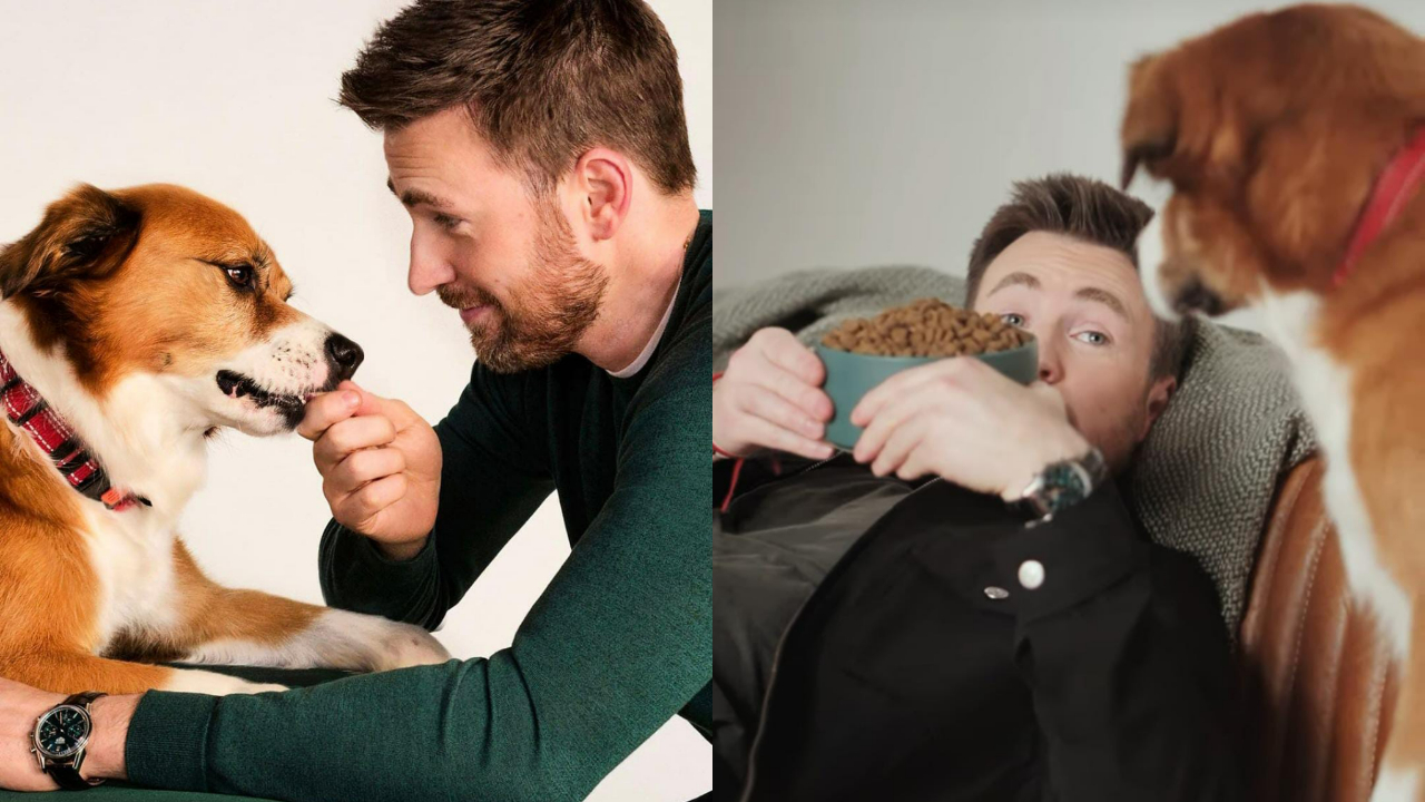 Chris Evans adoptÃ³ a perrito mestizo