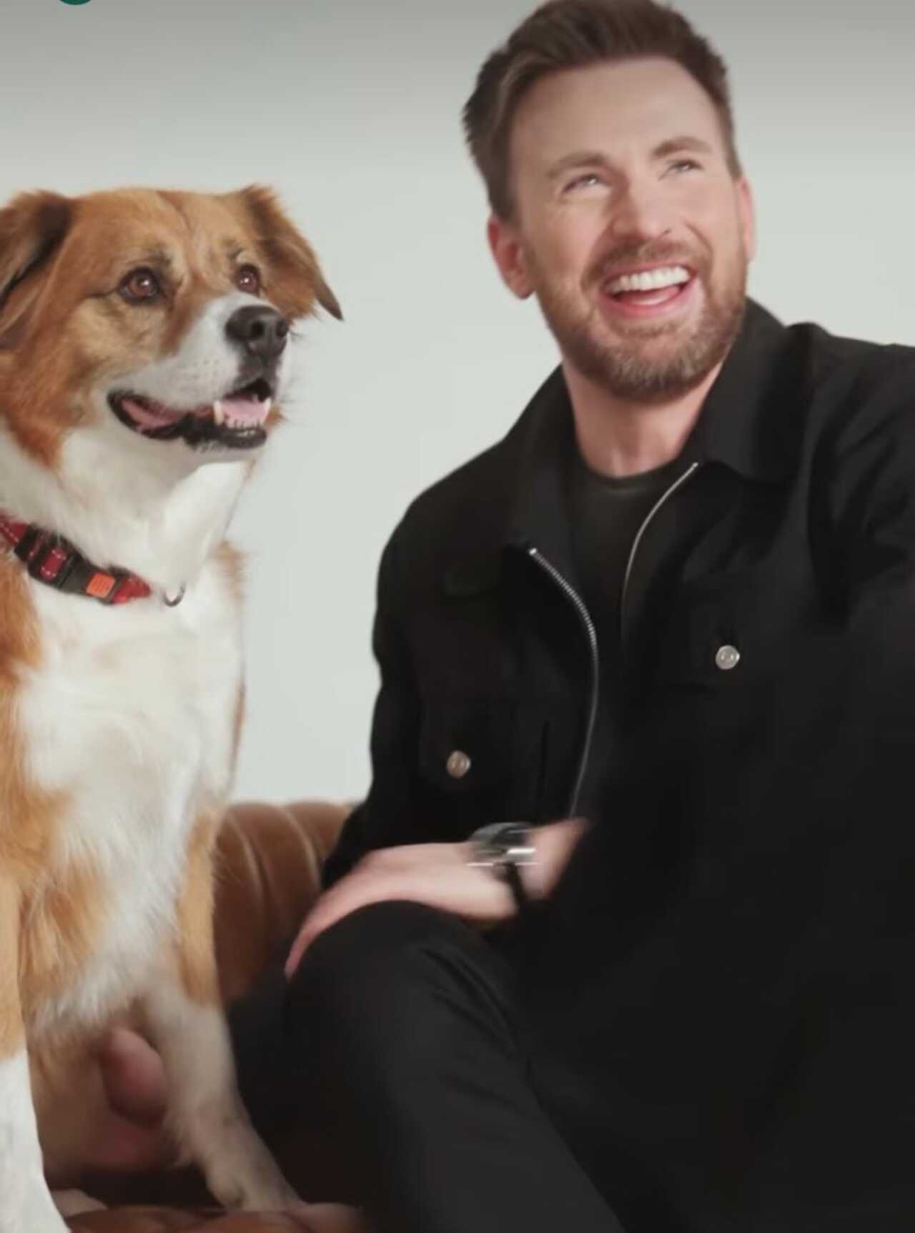 Chris Evans presume a su perrito mestizo
