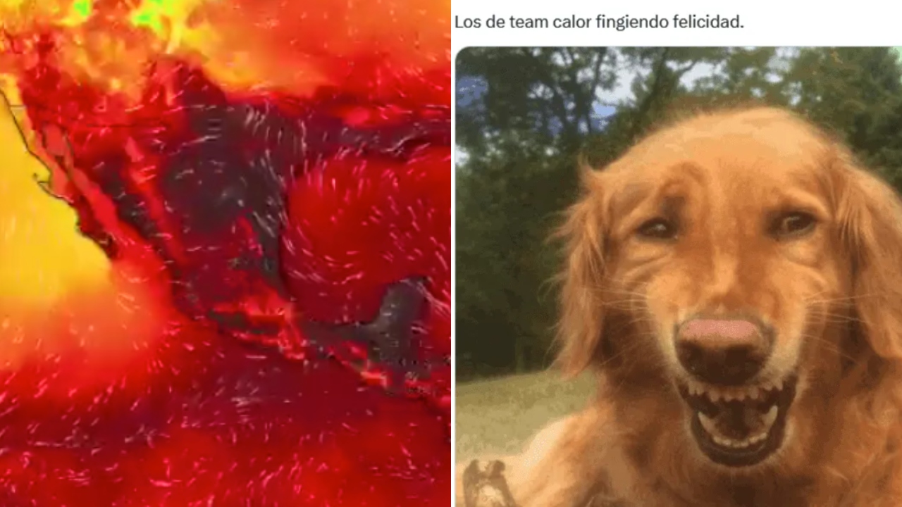 memes ola calor mexico