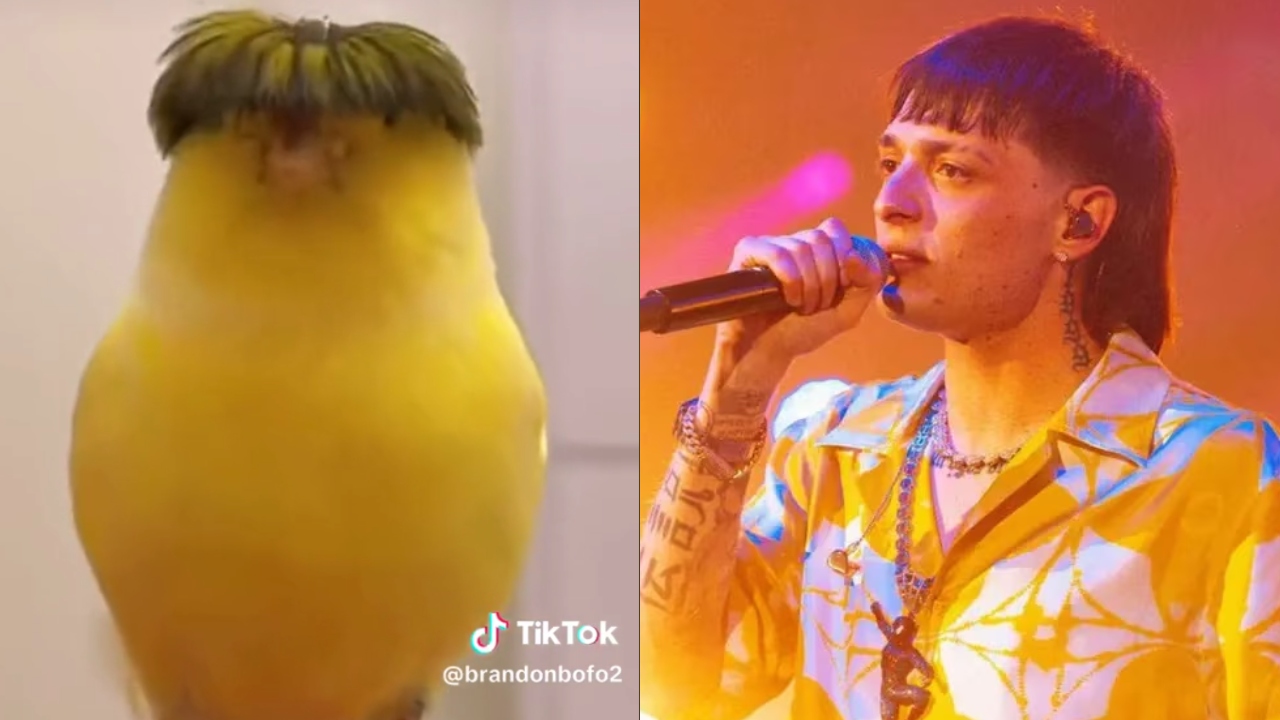 peso pluma tiktok peinado pajarito