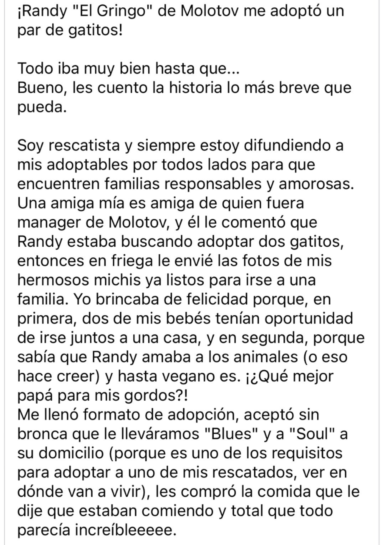 Randy Molotov regresar gatos