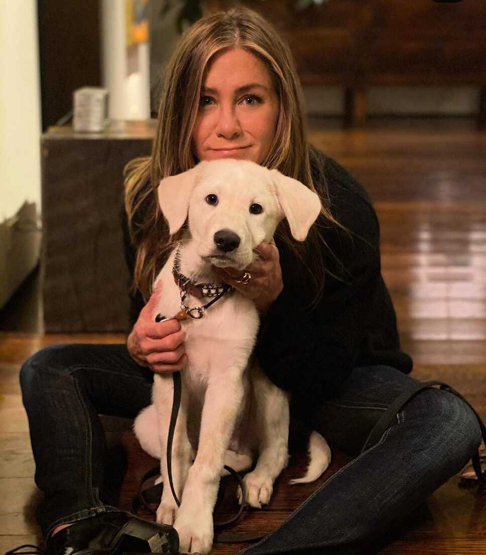 Jennifer Aniston muestra por primera vez sus canas