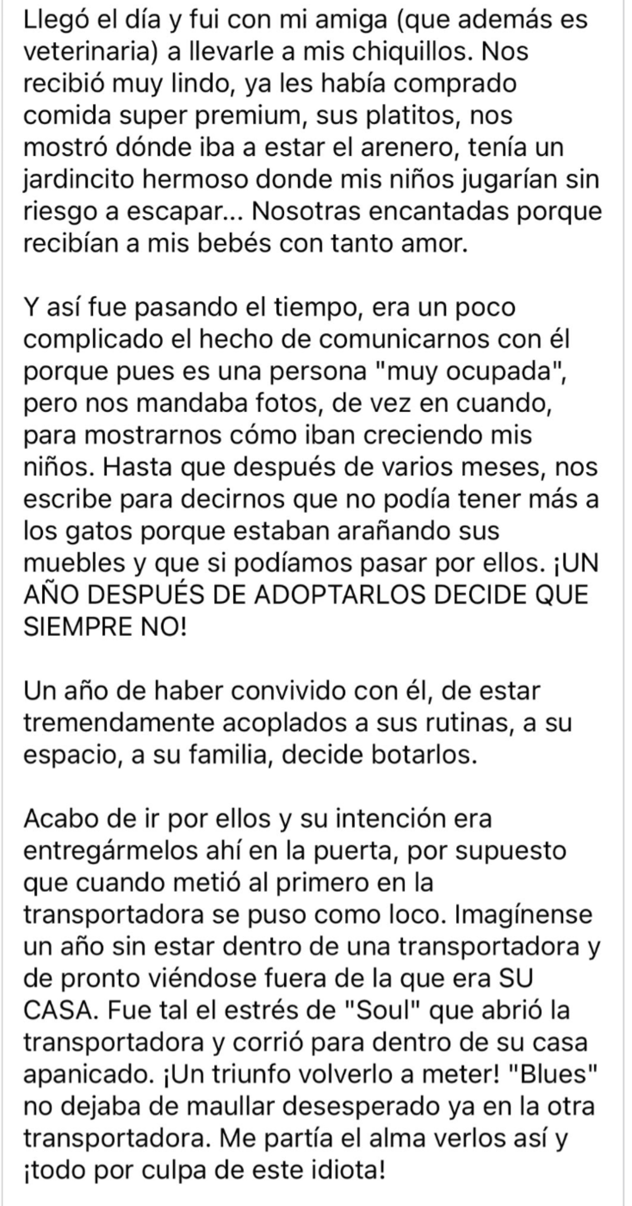 Randy Molotov regresar gatos