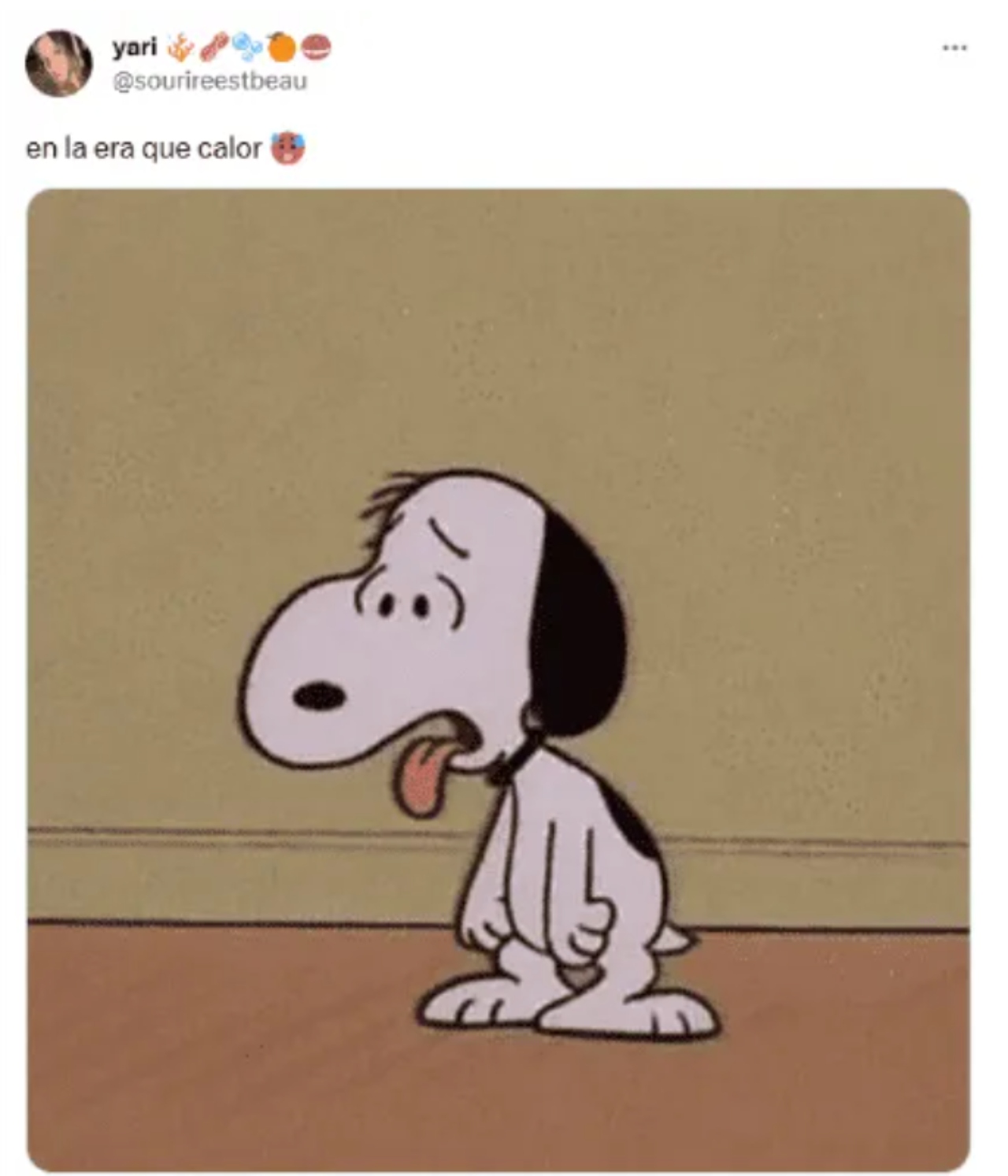 memes ola calor mexico