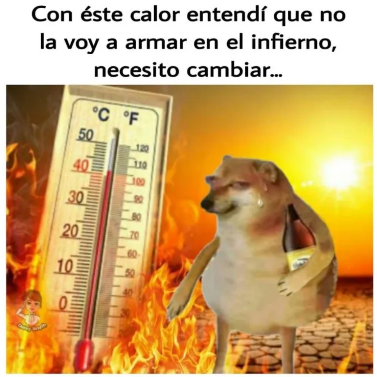 memes ola calor mexico