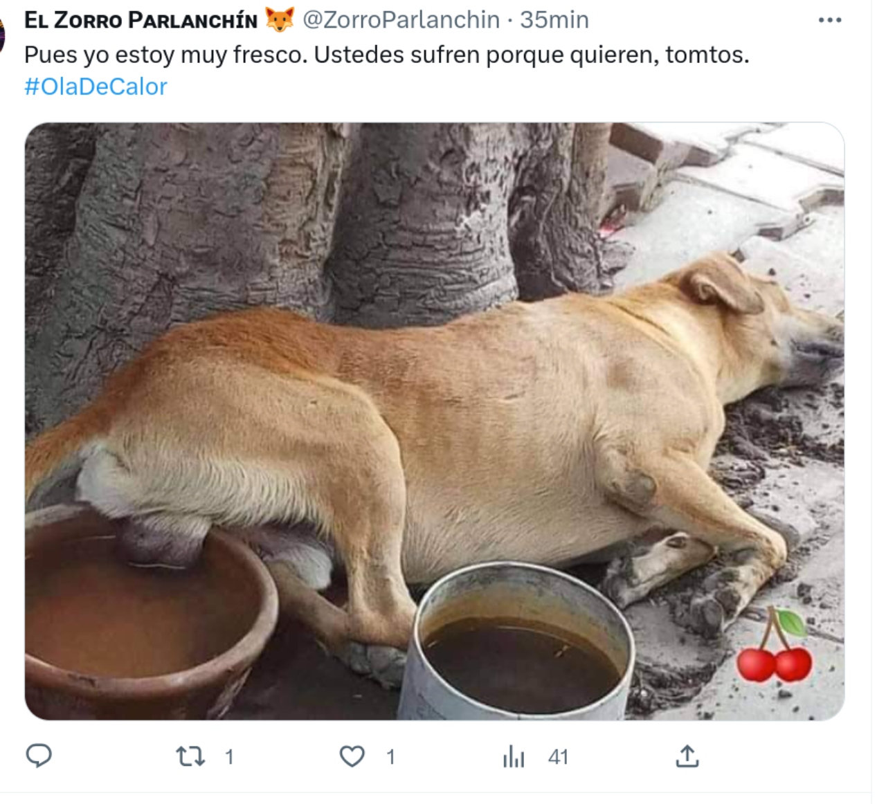memes ola calor mexico