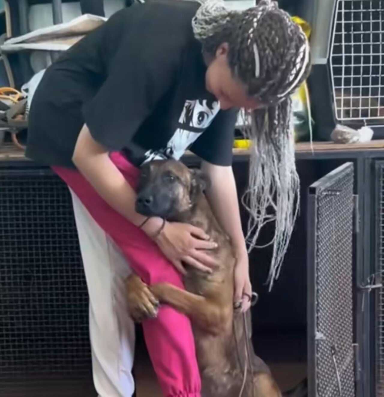 Perrito pide ayuda a chica y la abraza de las piernas