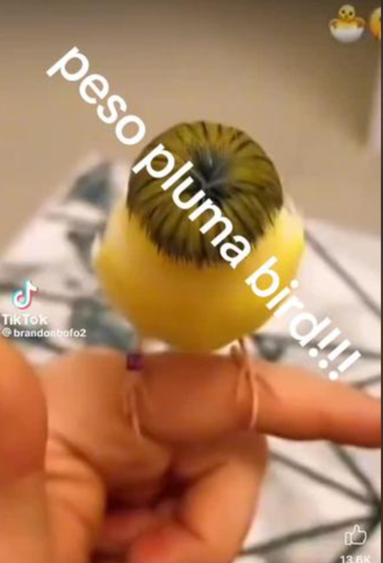 peso pluma tiktok peinado pajarito