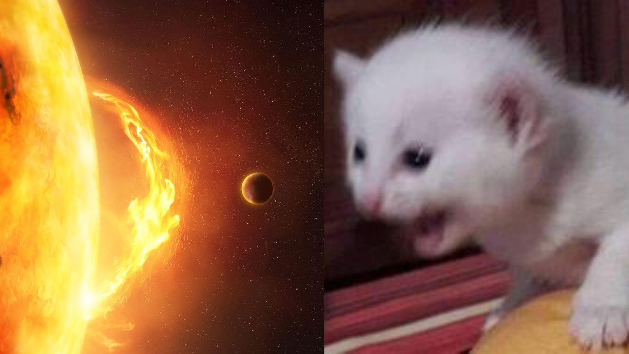 CientÃ­ficos destrucciÃ³n mundo