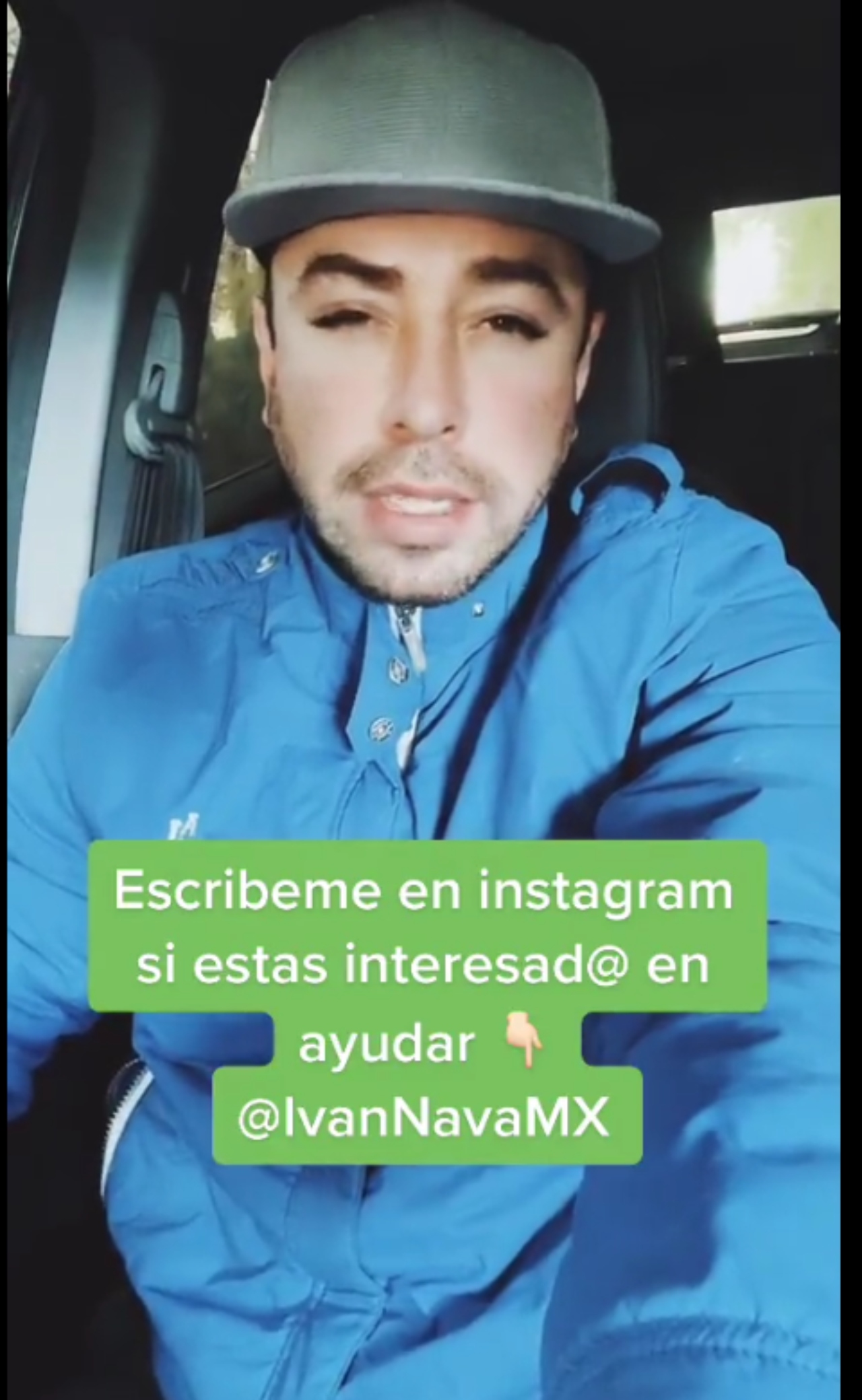 Perritos joven ayuda of