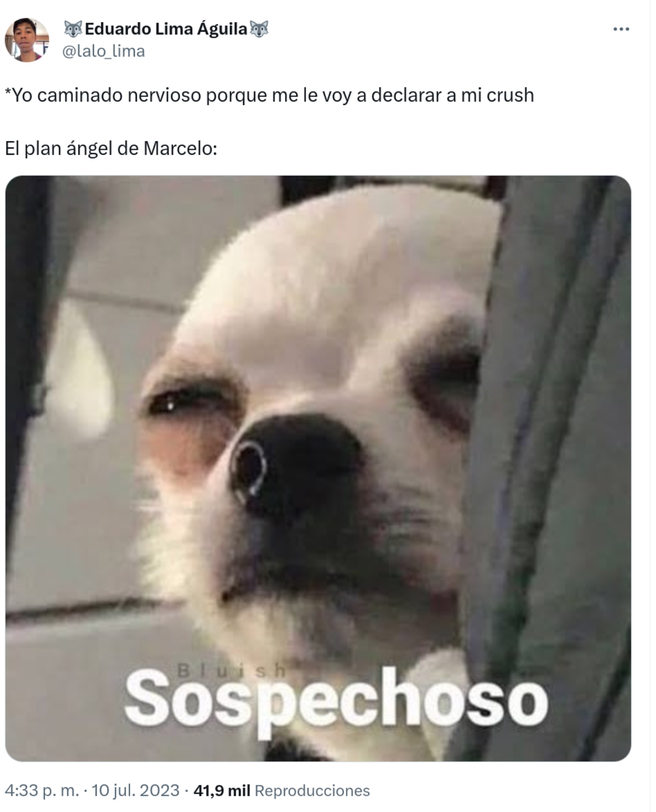 Marcelo Ebrard plan memes