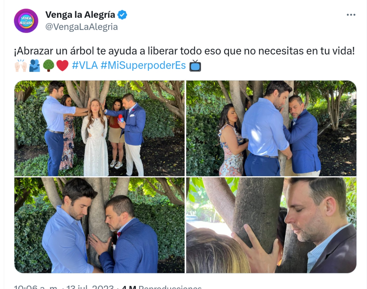 Conductores VLA abrazan árboles