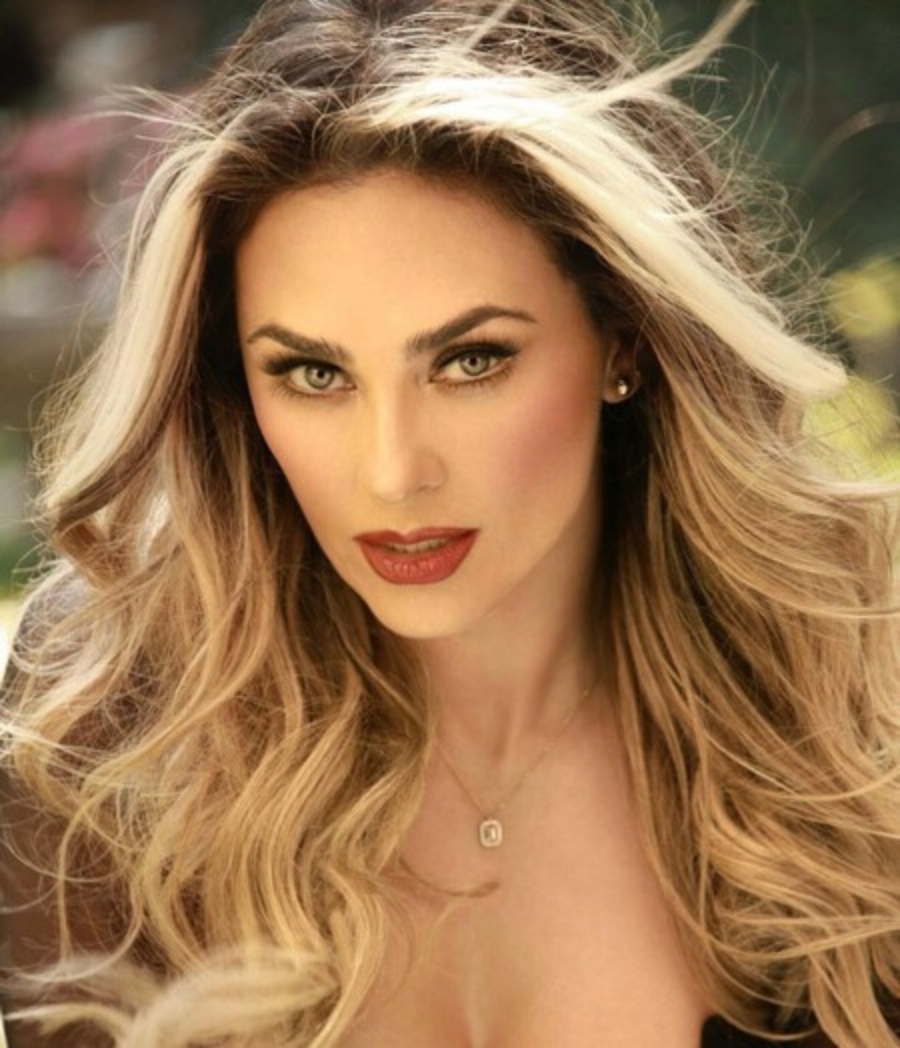 Luis Miguel Aracely Arambula taquilla
