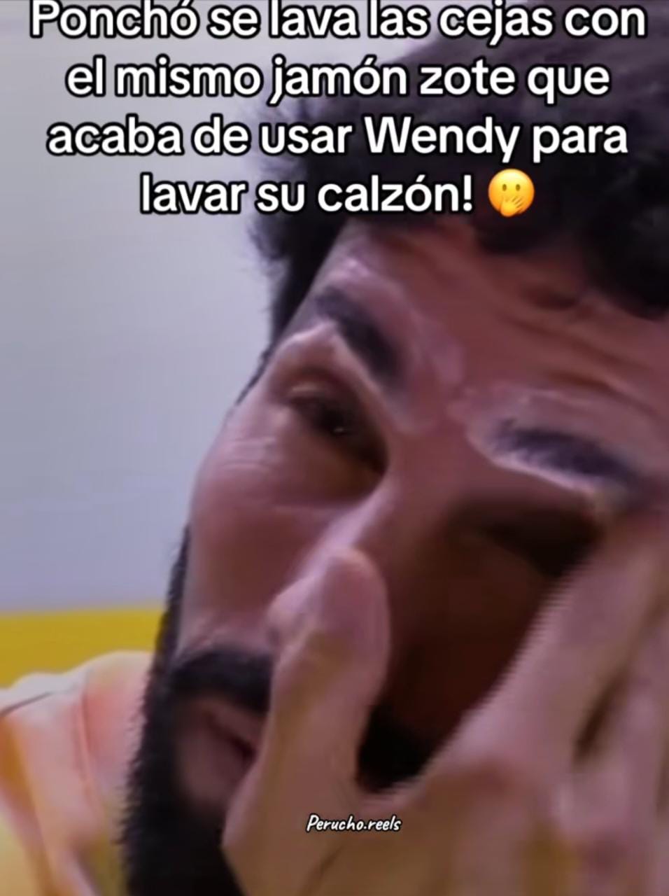 Poncho de Nigris se lava las cejas con el mismo jabÃ³n que Wendy usa para sus calzones