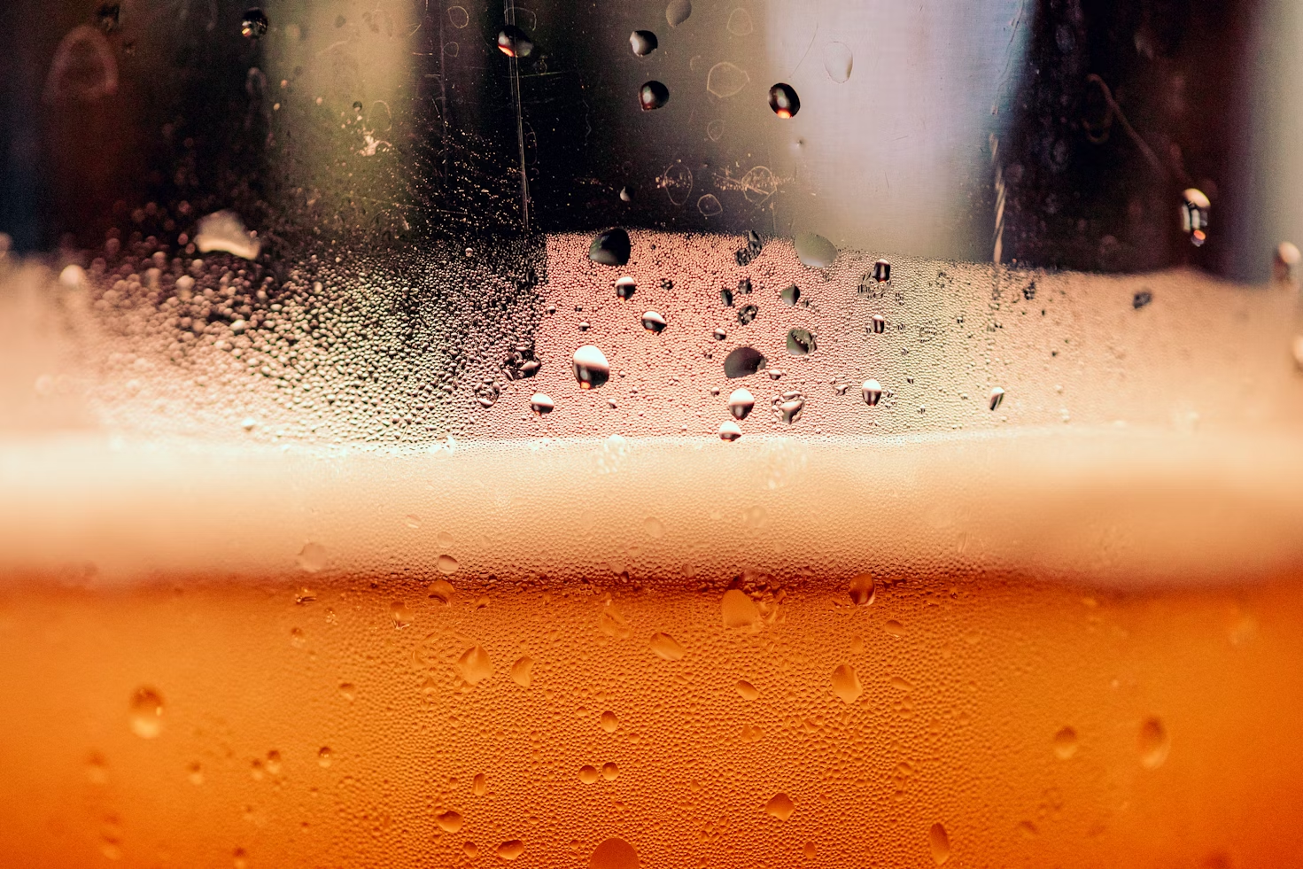 Explora las propiedades saludables del lúpulo en la cerveza y cómo este componente natural puede contribuir a un estilo de vida saludable.